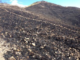 Titanyen Burnt Cross