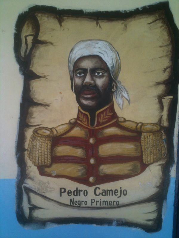 pedrocamejo